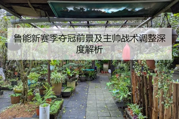 鲁能新赛季夺冠前景及主帅战术调整深度解析
